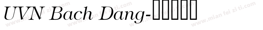 UVN Bach Dang字体转换